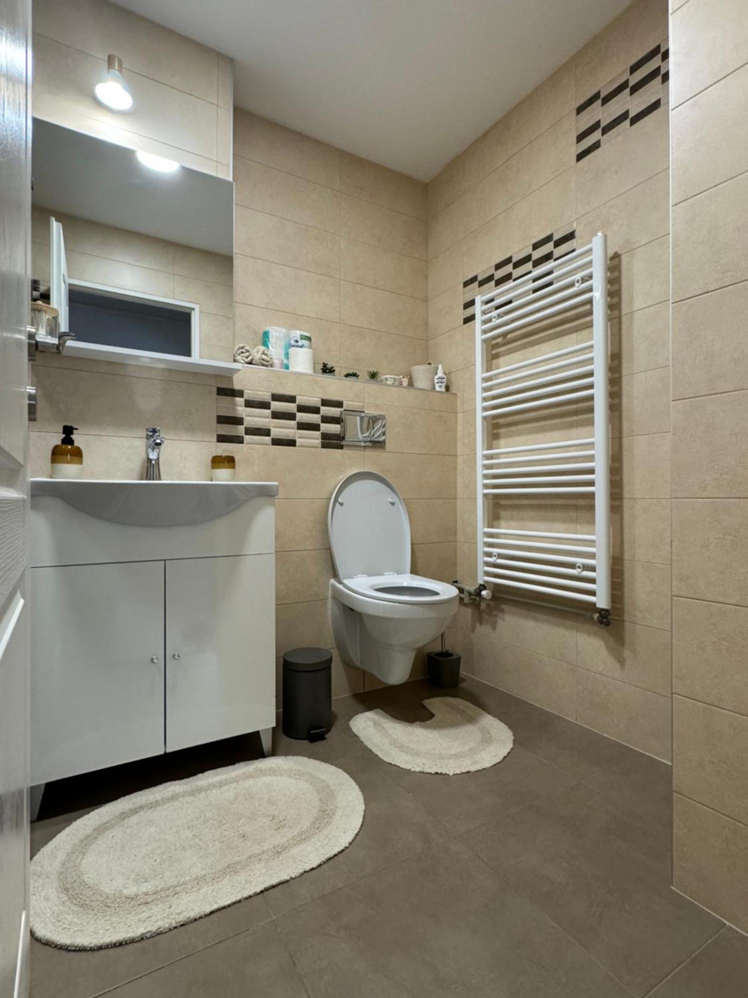 Lareina Apartament كلوج-نابوكا المظهر الخارجي الصورة