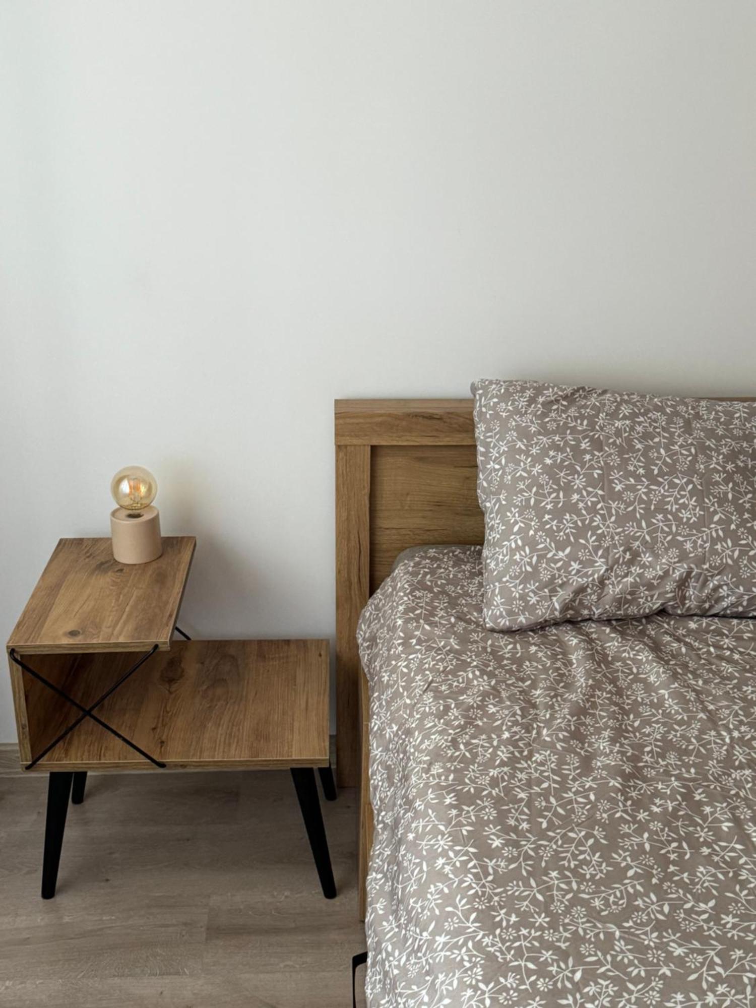 Lareina Apartament كلوج-نابوكا المظهر الخارجي الصورة